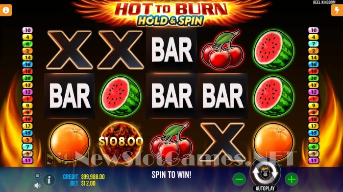 Review Hot to Burn Hold and Spin Pragmatic Play